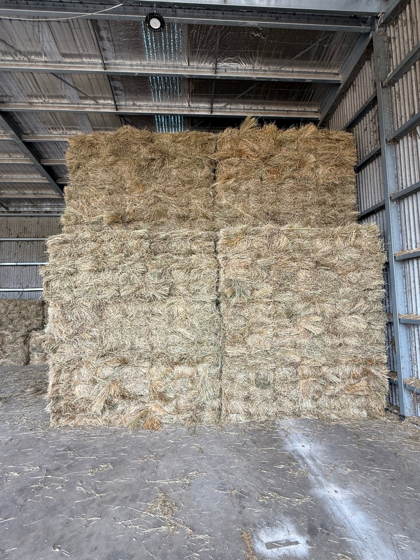 Premium Grass Hay - 14 pack - $24/bale