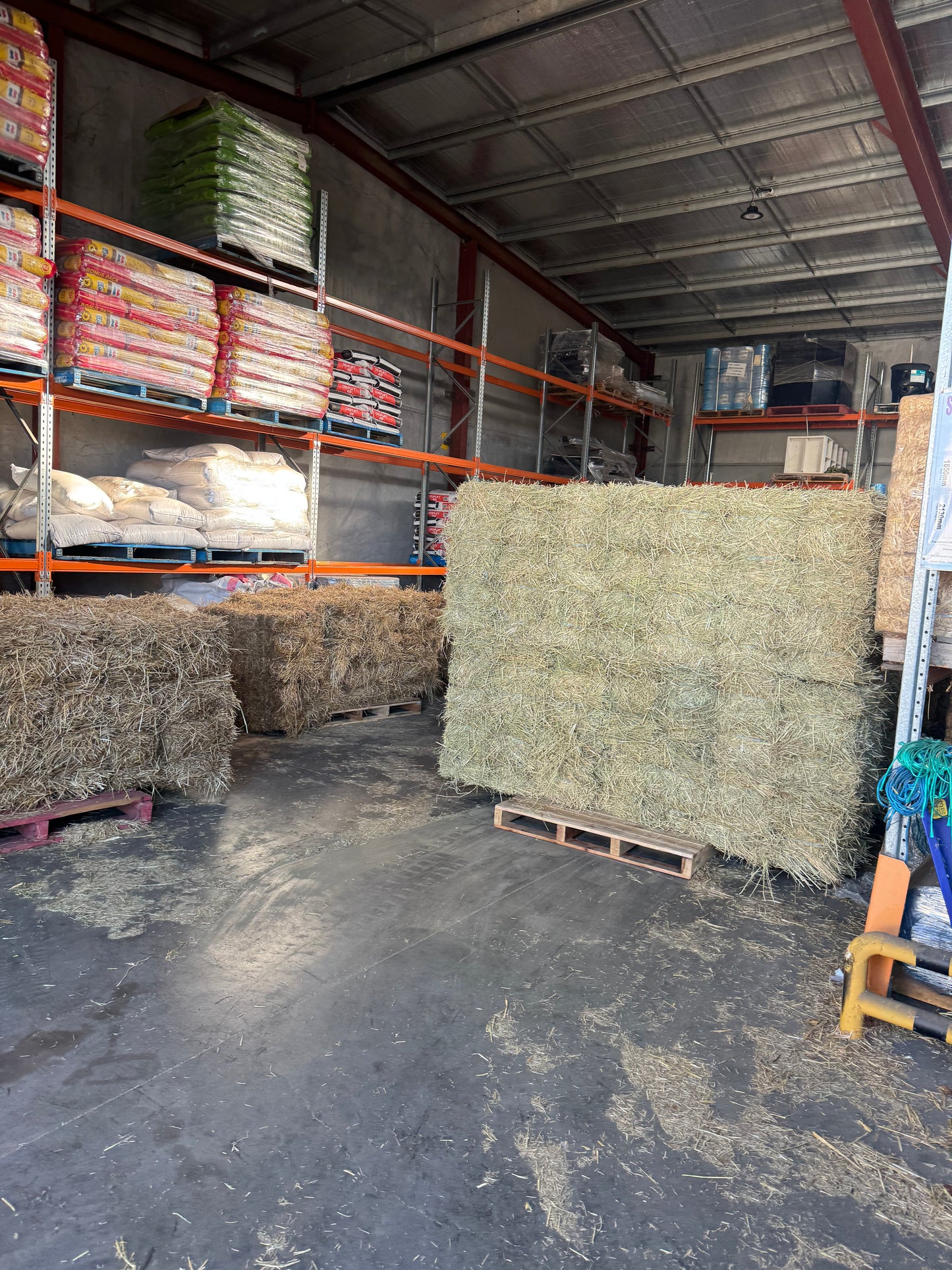 Low Sugar Rhodes Grass - 14 pack - $22.5/bale