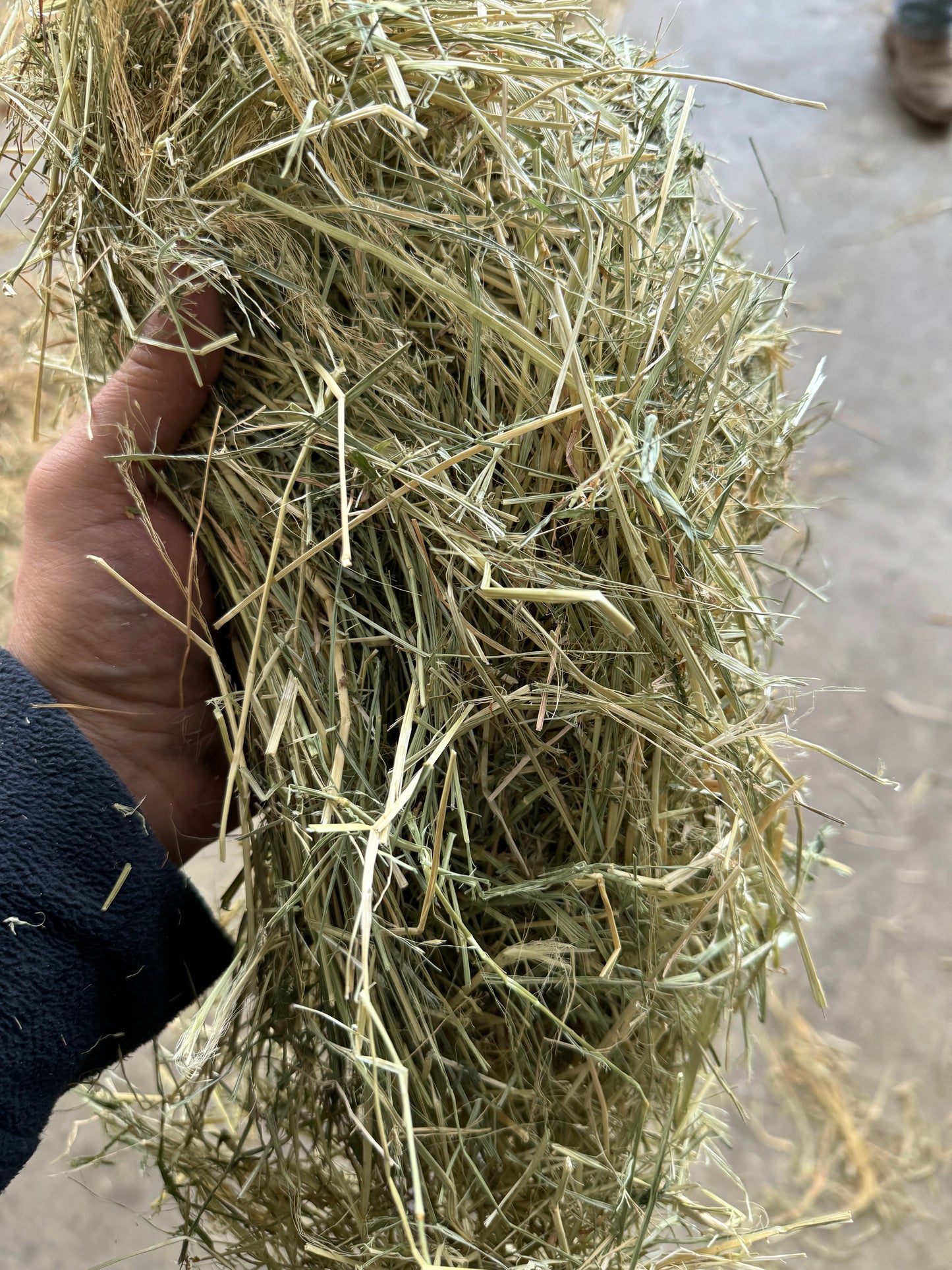 Teff - 14 pack - $26.50/bale