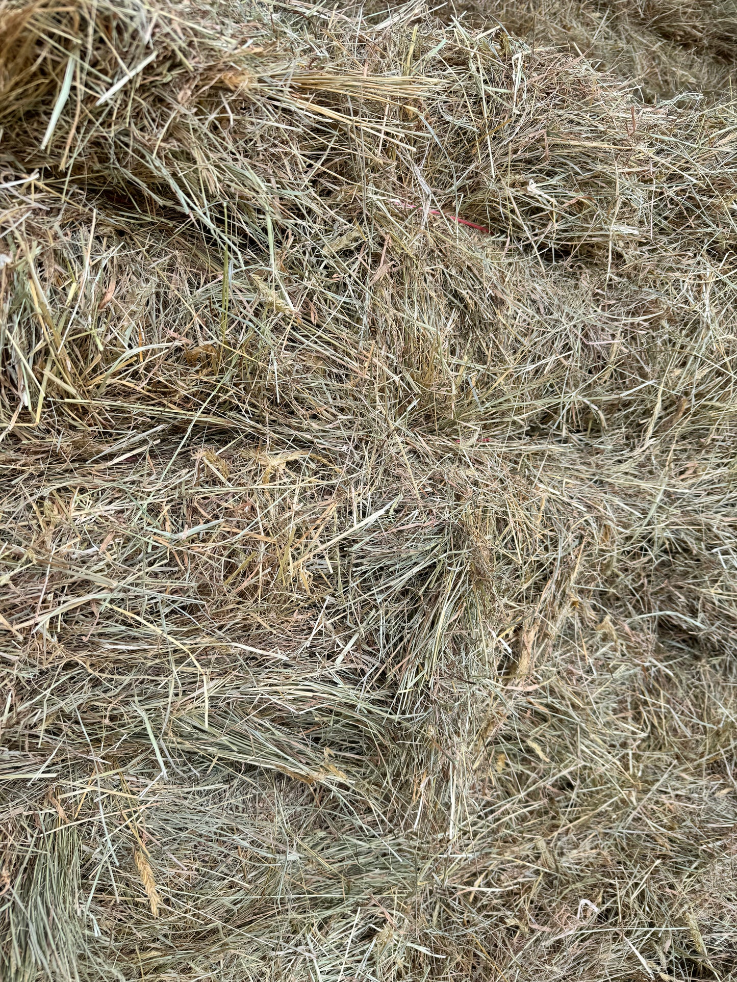 Grass/Lucerne Blend - 14 Pack - $22.00/bale
