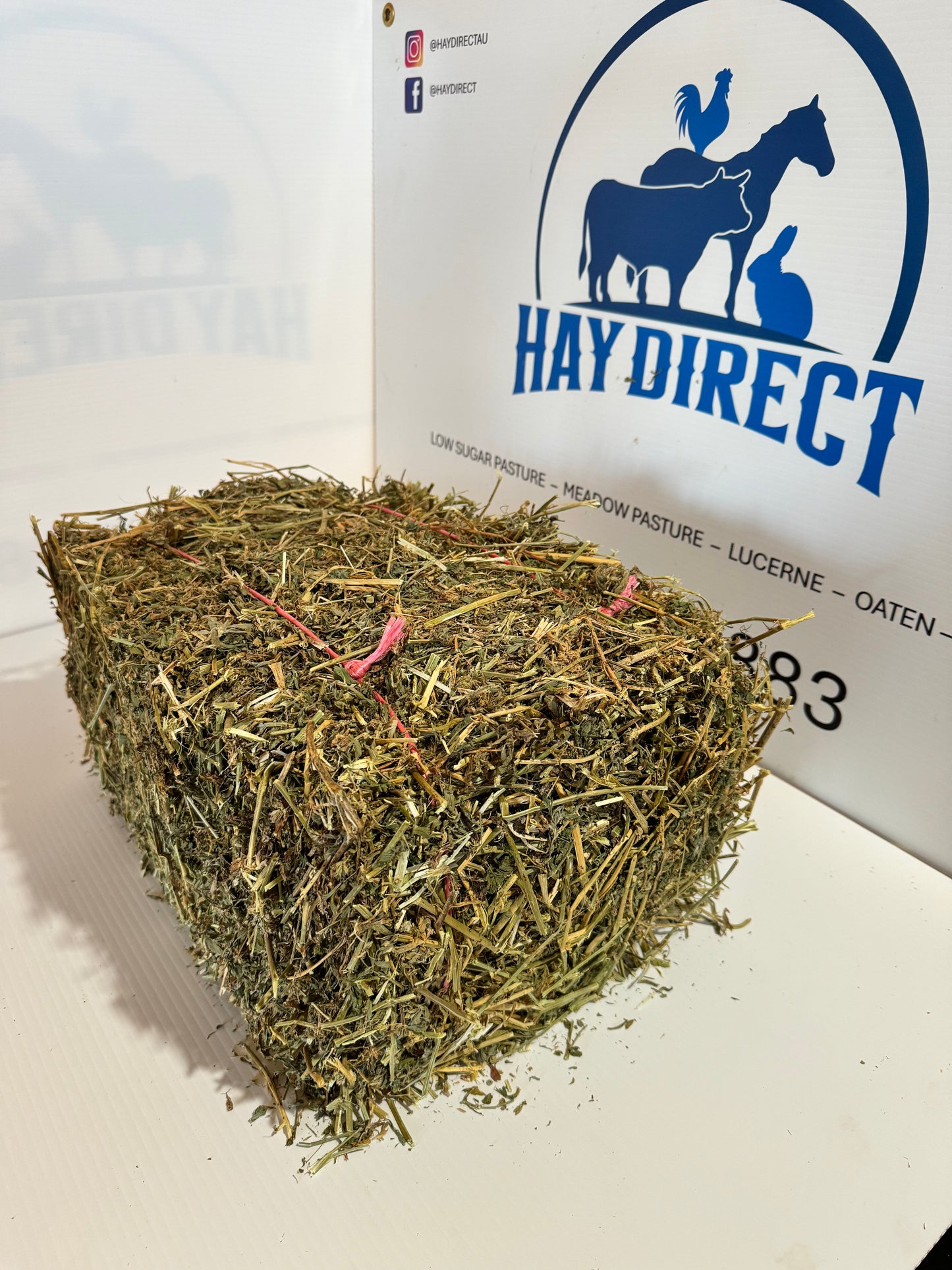Lucerne Mini Bale