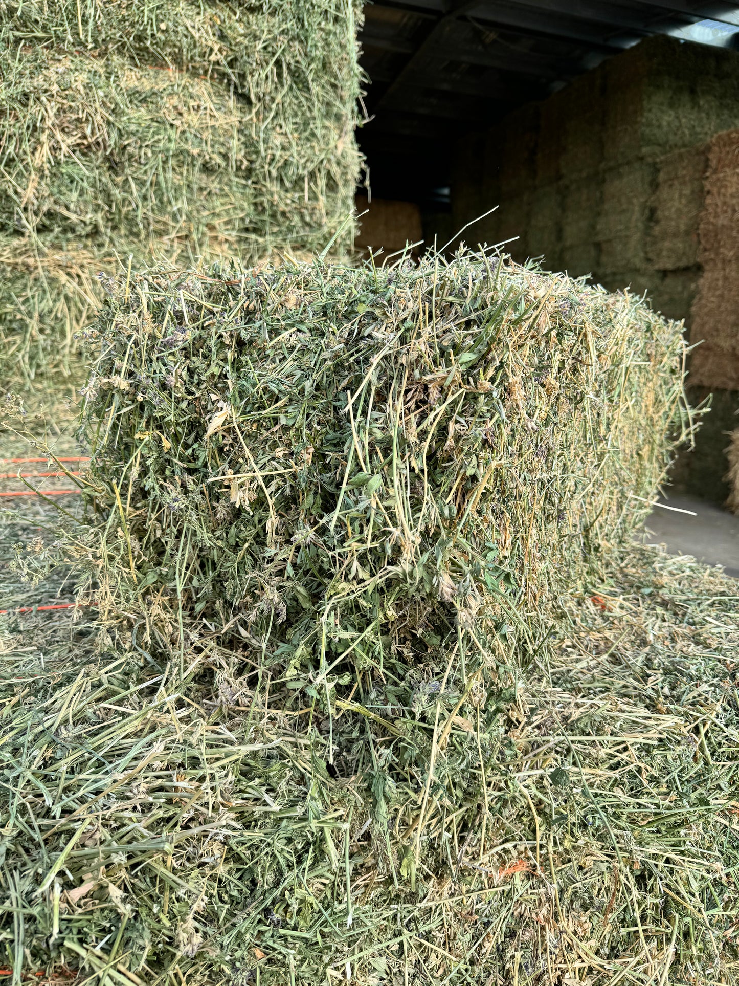 Easy Chew Premium Lucerne - 14 Pack - $26.50/bale