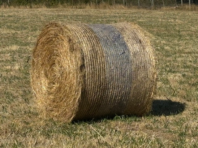Pasture Round Bale - 4x5' - Horse Quality LOW SUGAR