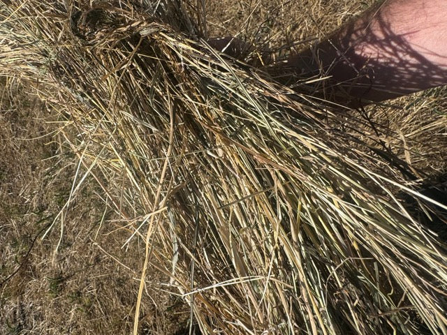 Cow Chow - 14 pack - $12.5/bale