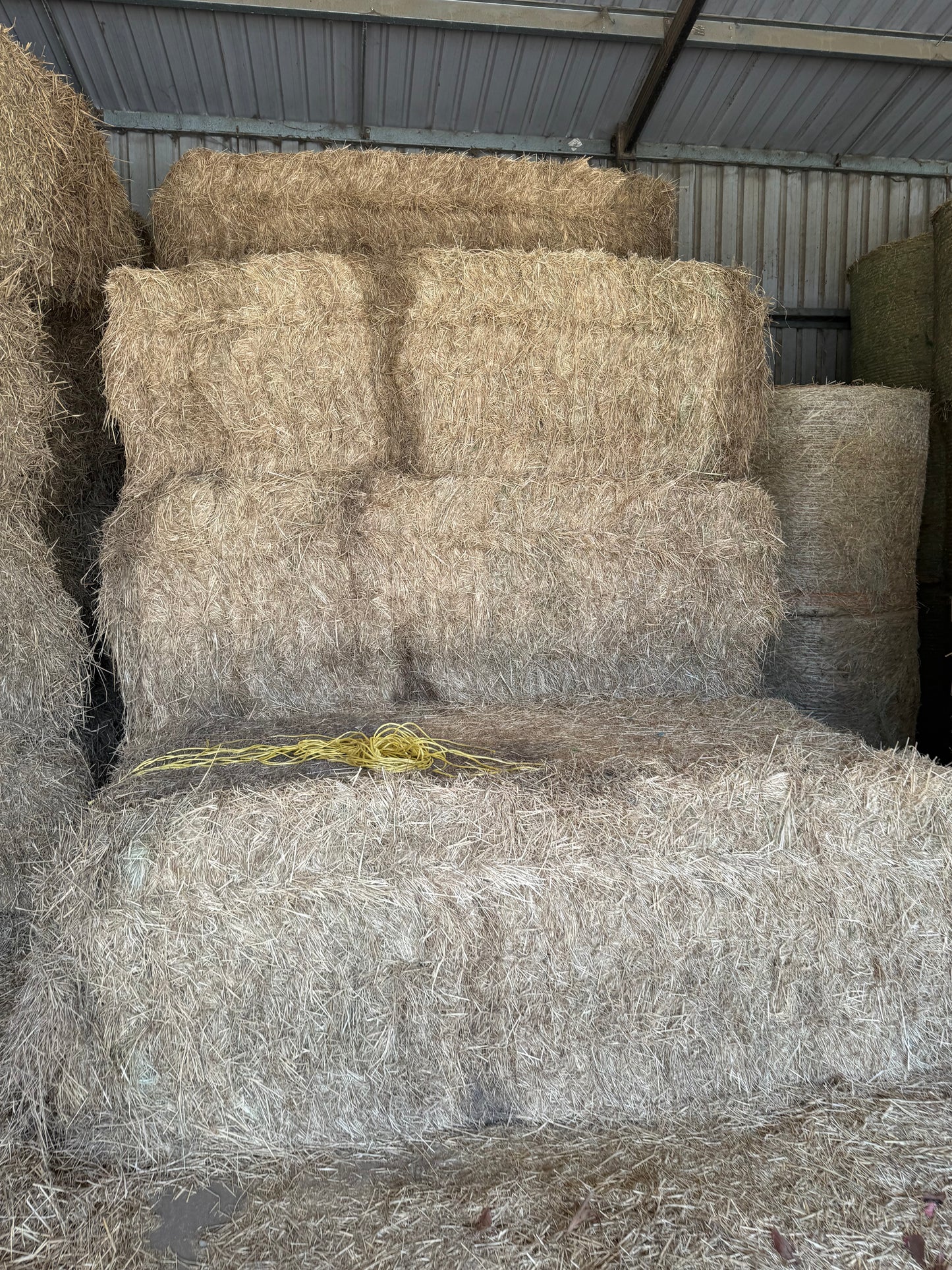 2nds Rhodes BIG SQUARES