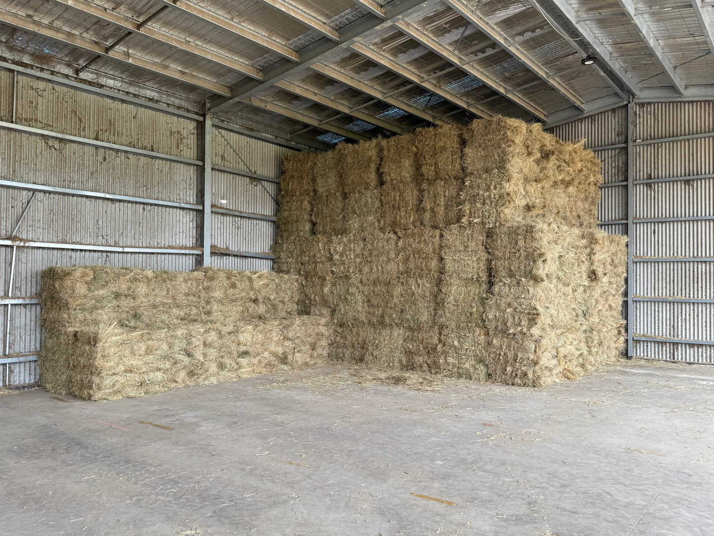 Low Sugar Pasture (Tested)- 14 Pack - $22.5/bale