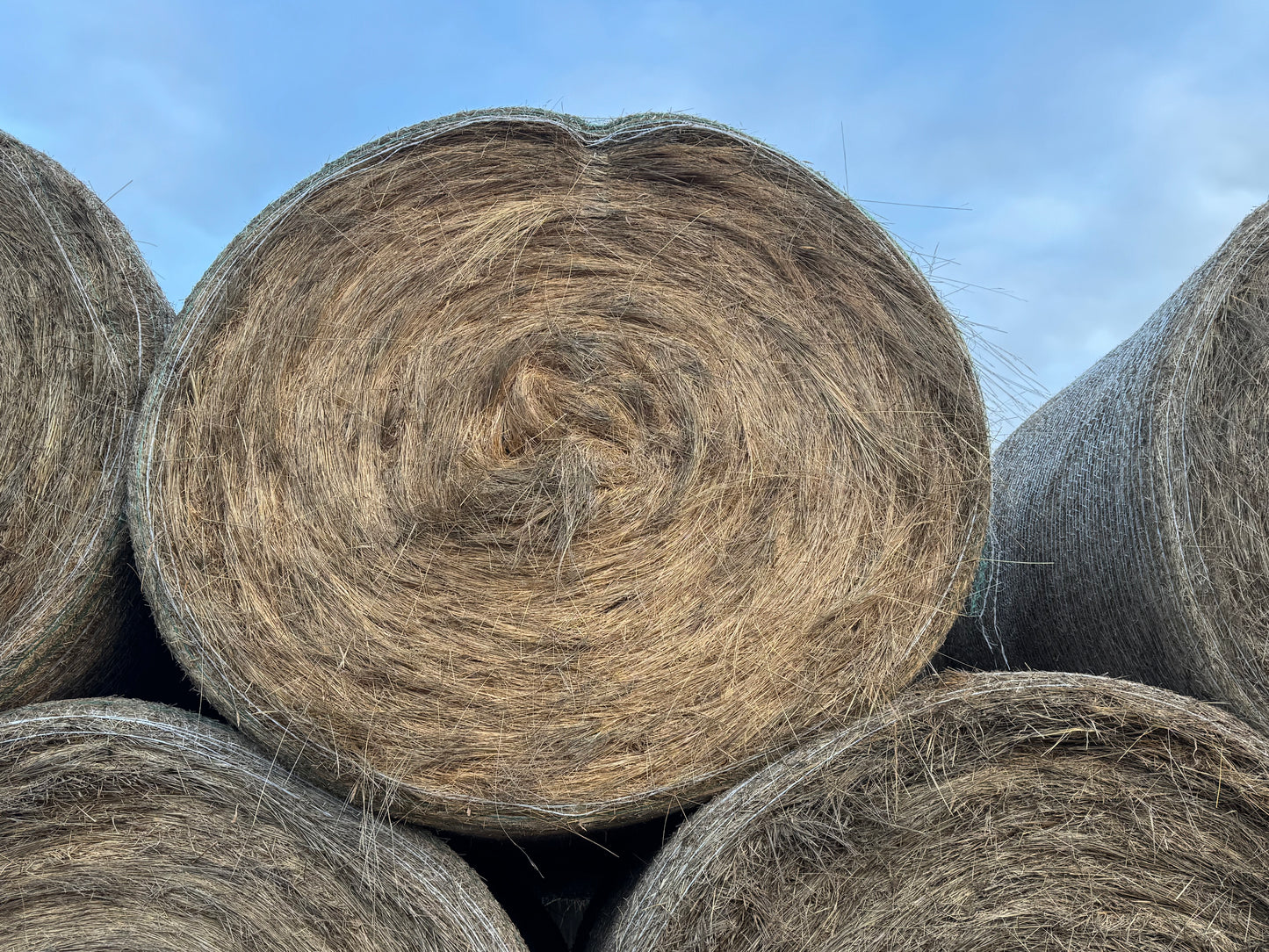 ROUND BALE NATIVE 5X4 LS GRASS $155 (LIMITED STOCK LEFT) DELIVERED
