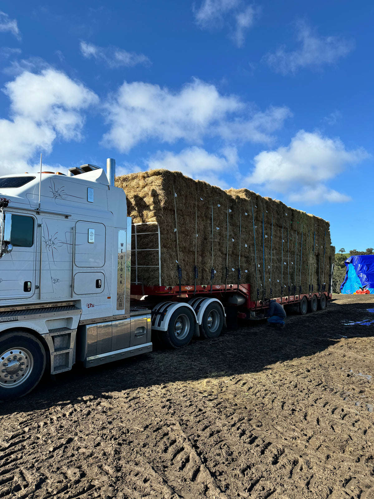 Resellers – Hay Direct - Making Hay Easy!
