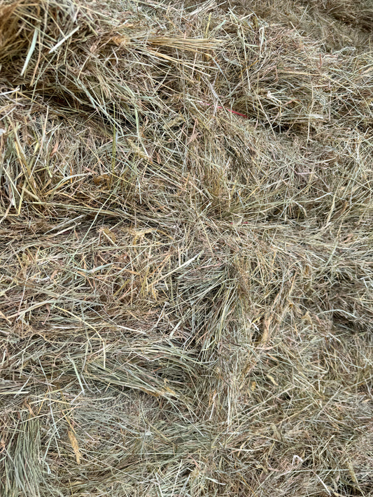 Grass/Lucerne Blend - 14 Pack - $22.00/bale