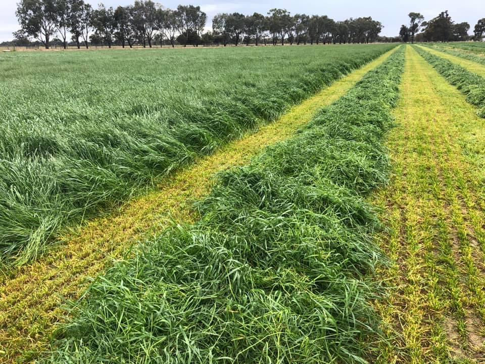 About Us – Hay Direct - Making Hay Easy!