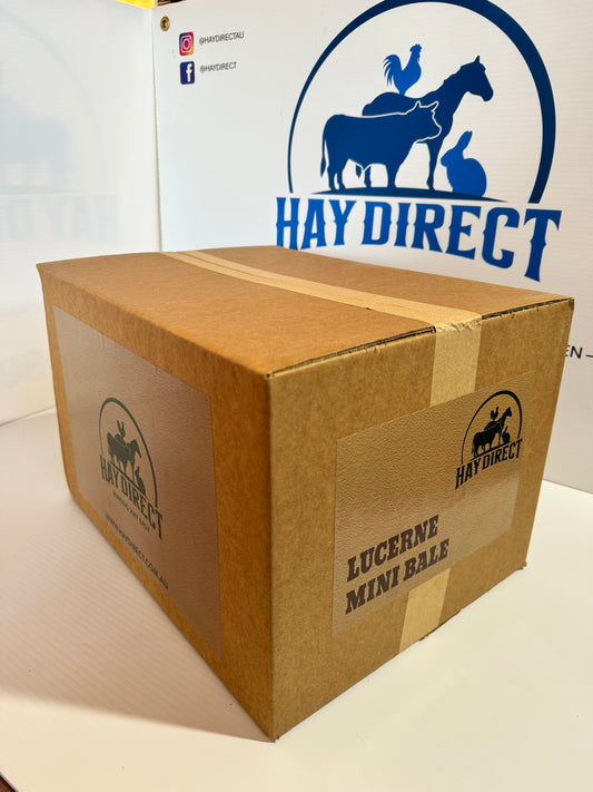 Lucerne Mini Bale