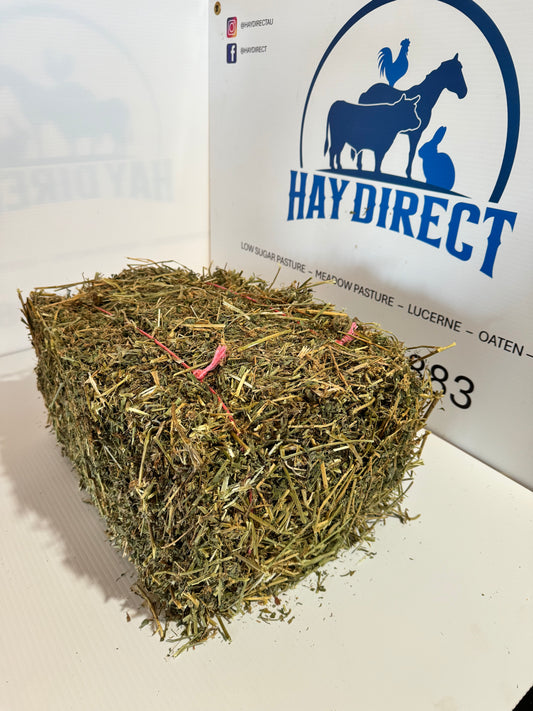 LUCERNE MINI BALE 22L