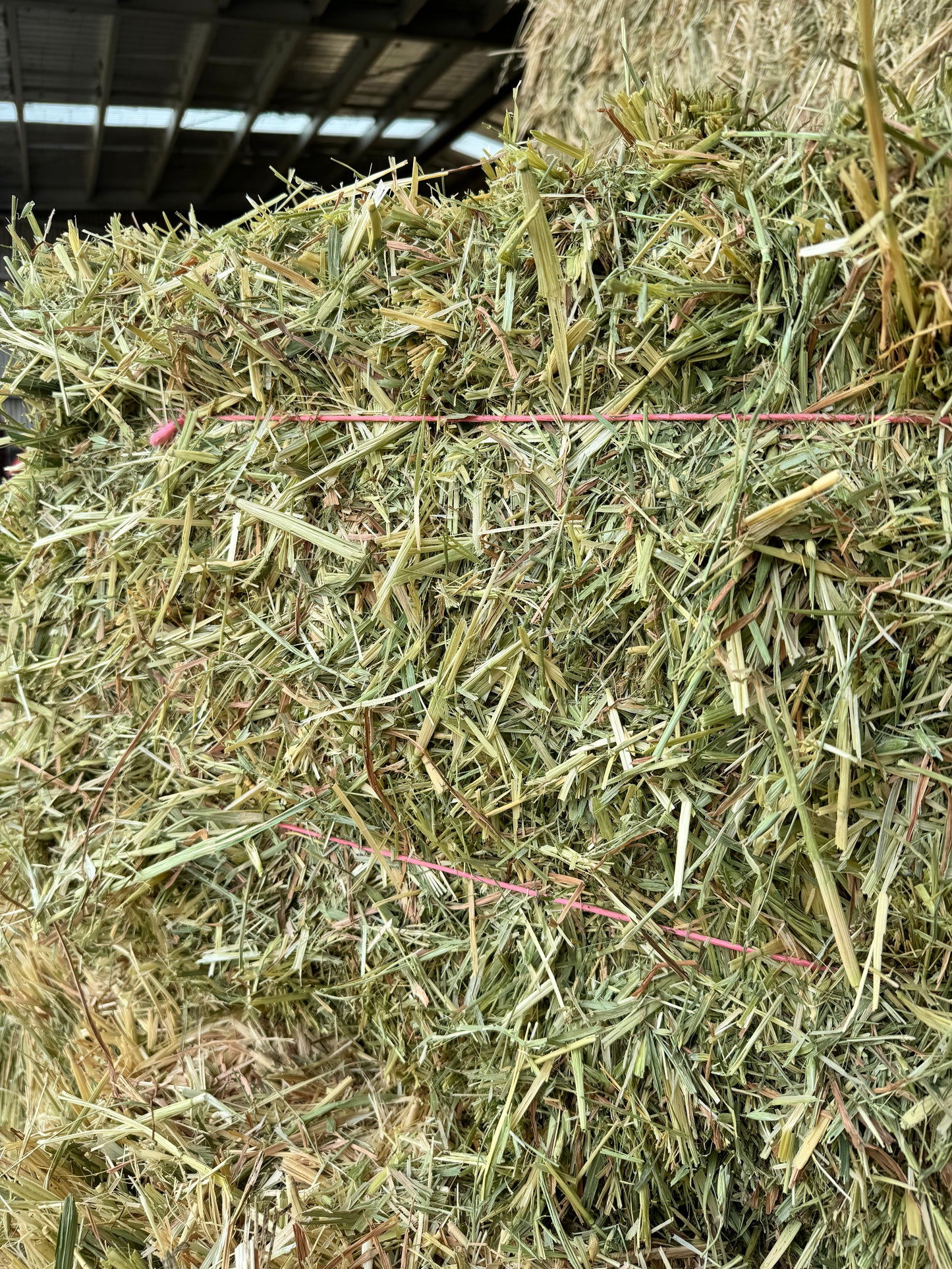OATEN HAY - $18 DELIVERED!