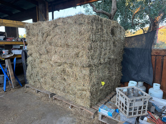 LOW SUGAR NATIVE GRASS - LUCERNE BLEND - $22 DELIVERED!