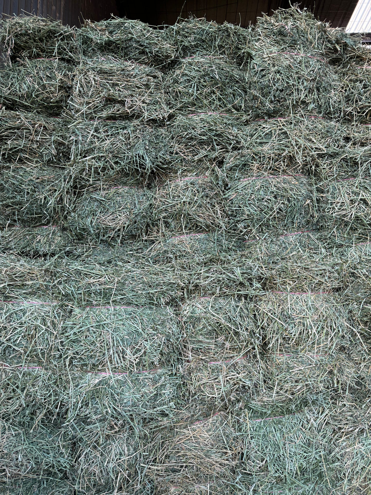LUCERNE HAY- $23 DELIVERED!