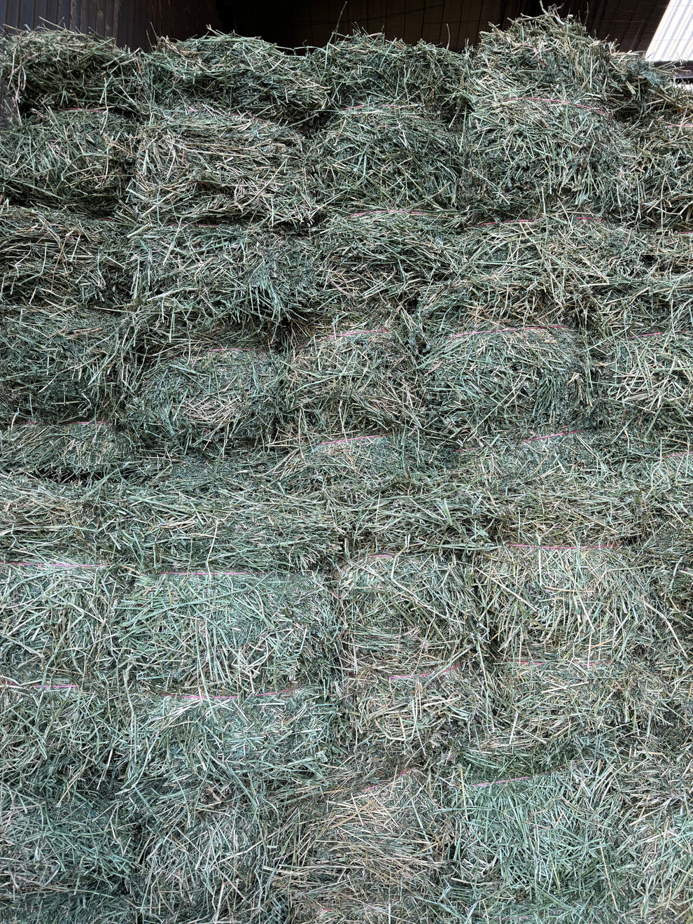 LUCERNE HAY- $23 DELIVERED! 14 bales / pack – Hay Direct - Making Hay Easy!