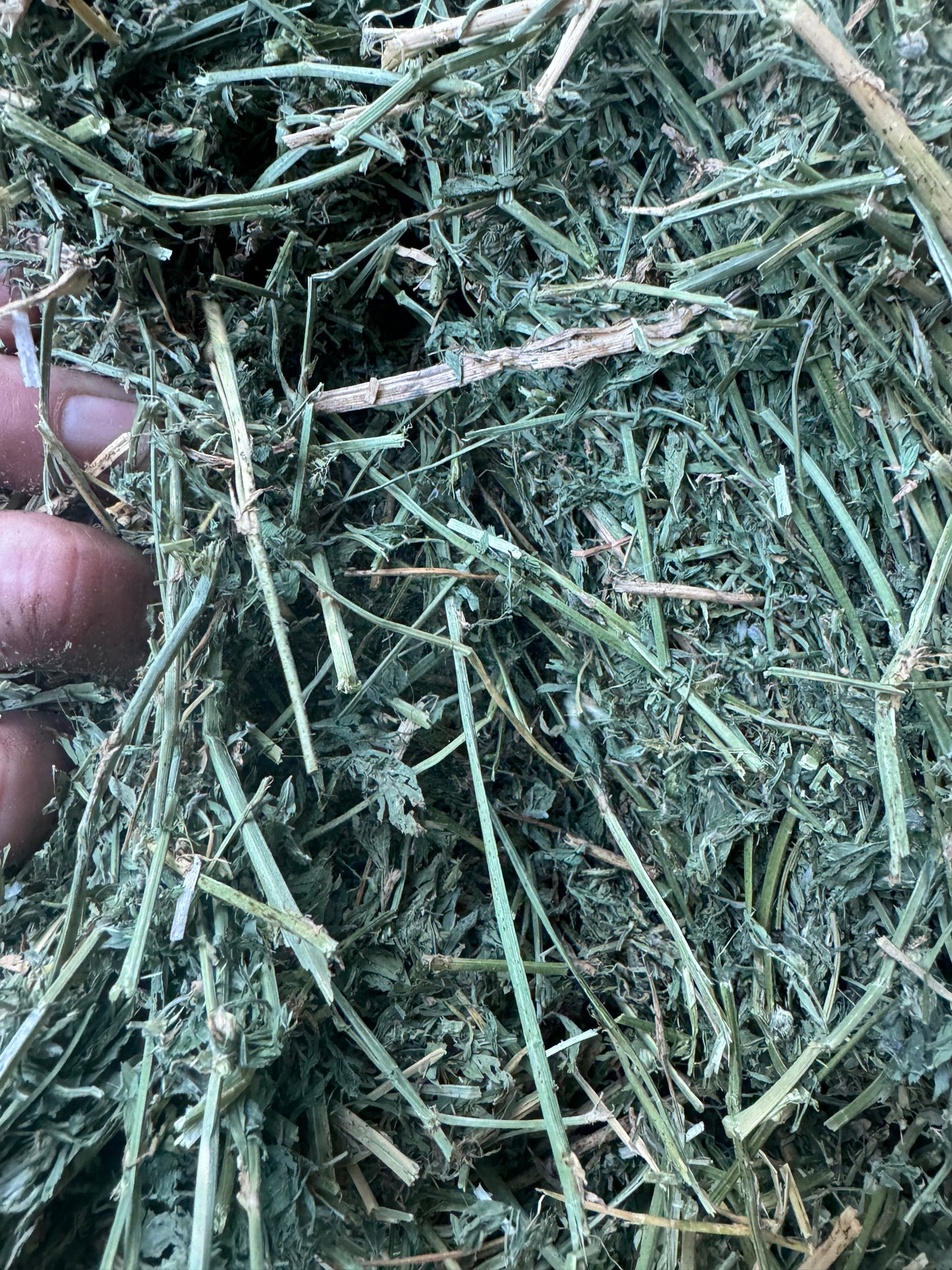 LUCERNE HAY- $23 DELIVERED!