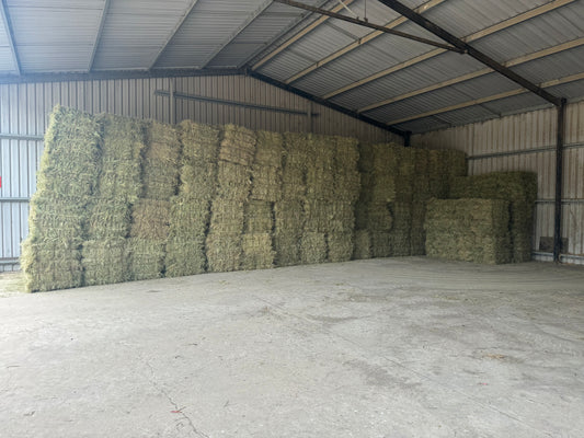 LOW SUGAR GRASS HAY - $17.50 DELIVERED!