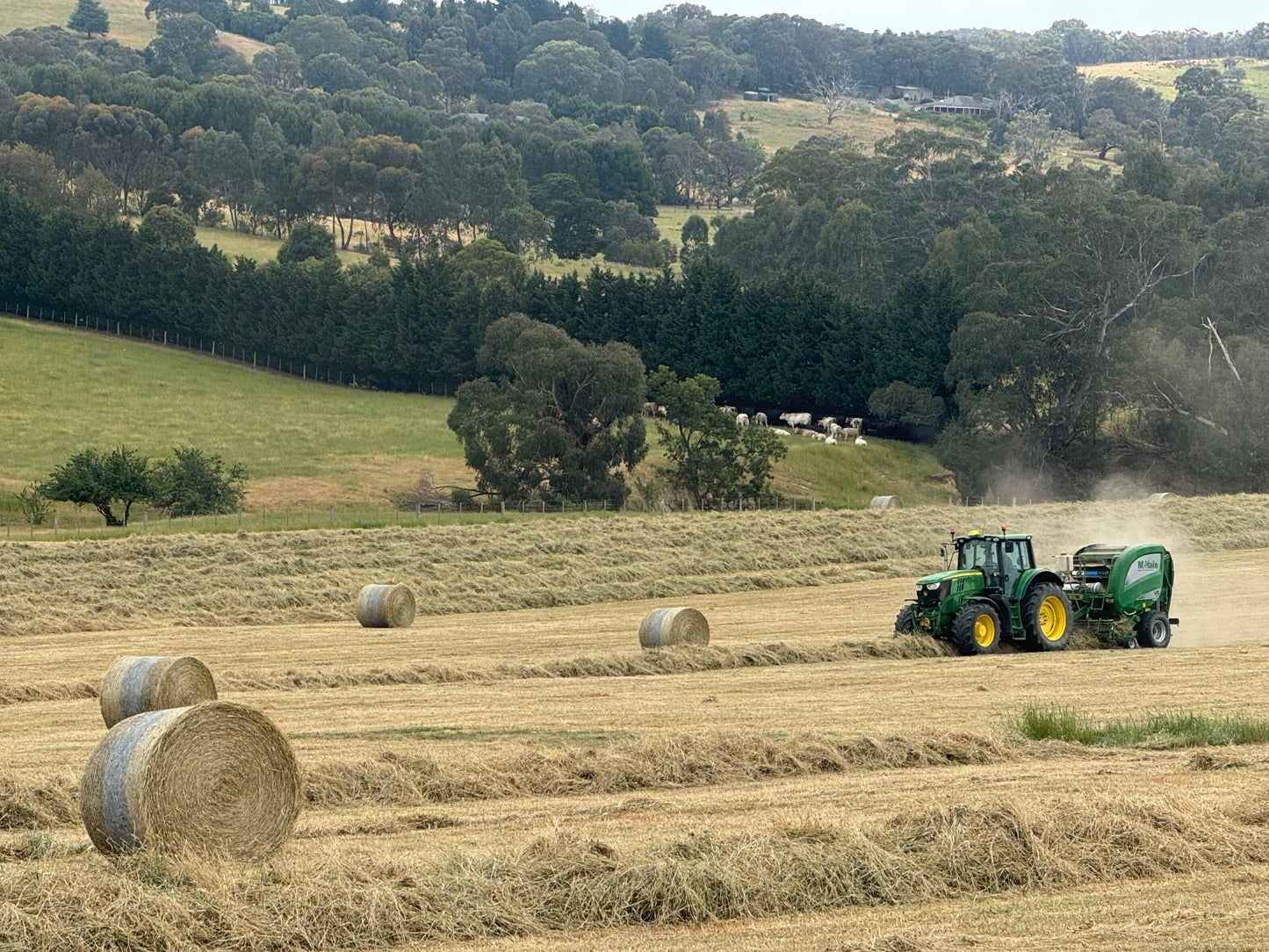 ROUND BALE NATIVE 5X4 LS GRASS $155 (LIMITED STOCK LEFT) DELIVERED