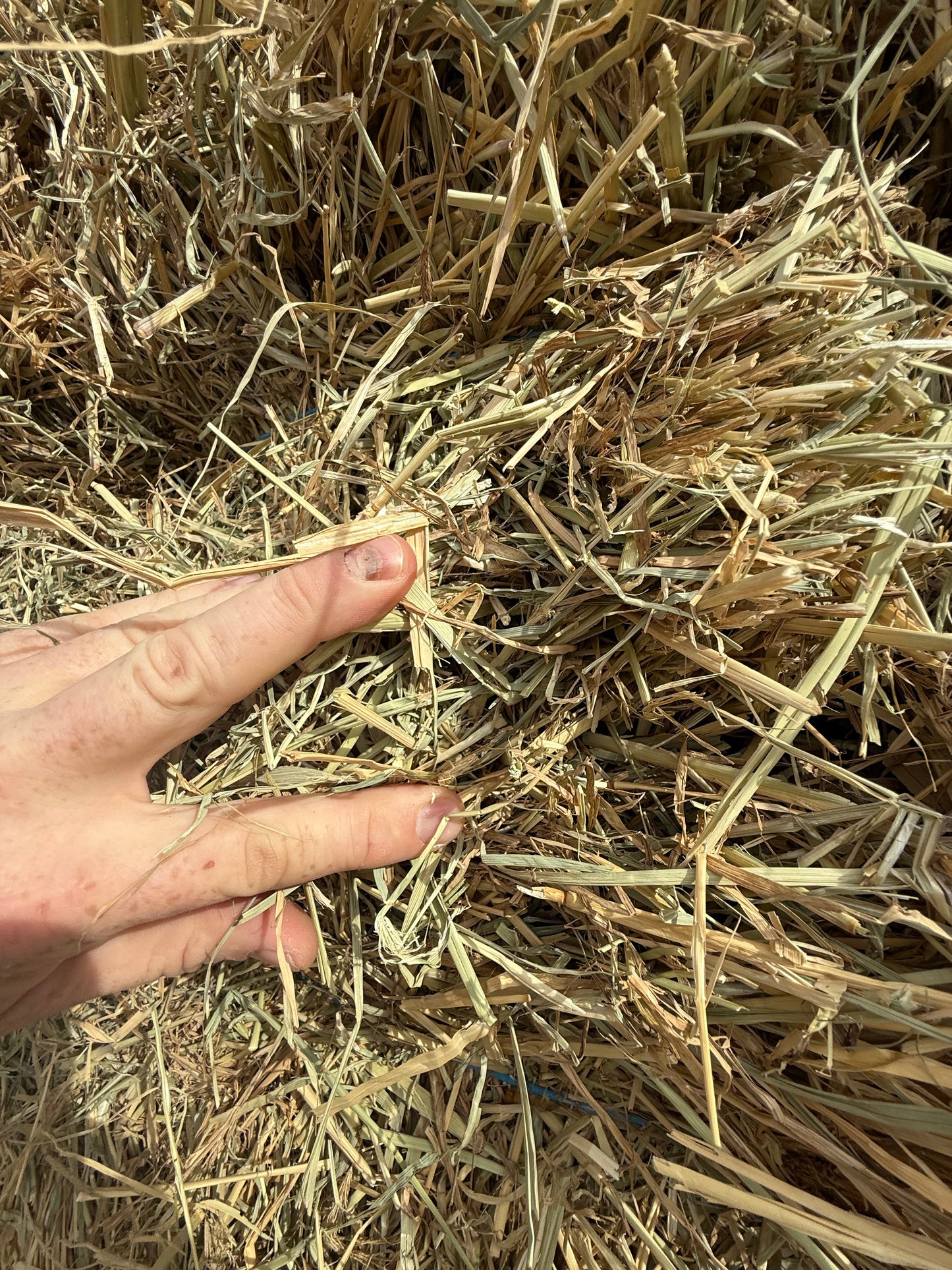 RHODES & LUCERNE BLEND - $25 DELIVERED!