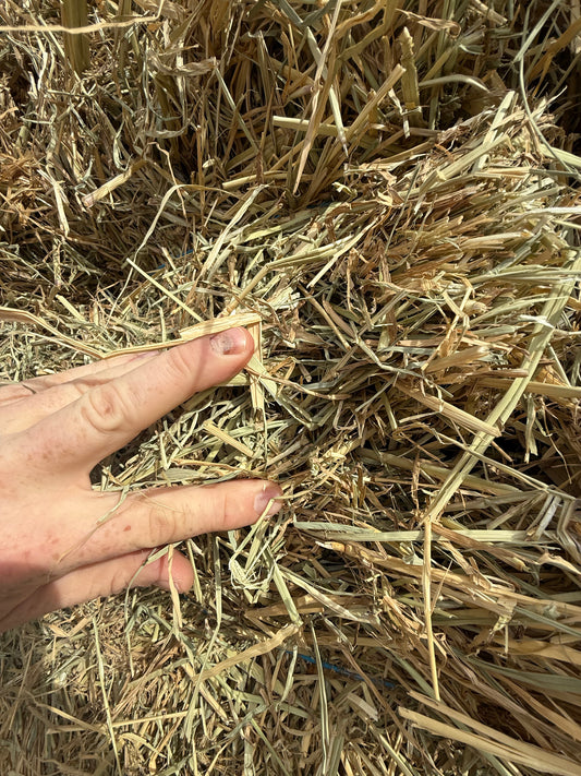 RHODES & LUCERNE BLEND - $25 DELIVERED!